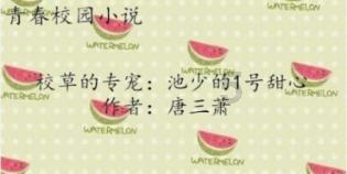 舰无虚发：暗星